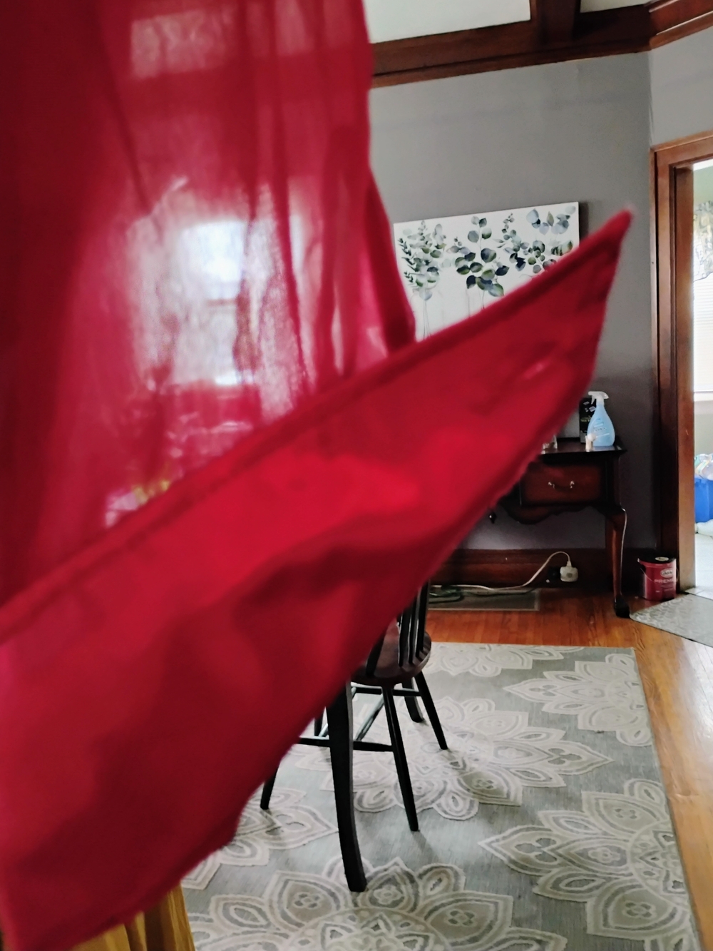 Ashley Stewart Ruffle-Front Sheer Blouse in Deep Red - Picture 4 of 14